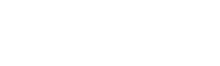 PDI - PARTIDO  DE INTERNET