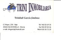 Trini Inmobiliaria - Alcantarilla - Murcia